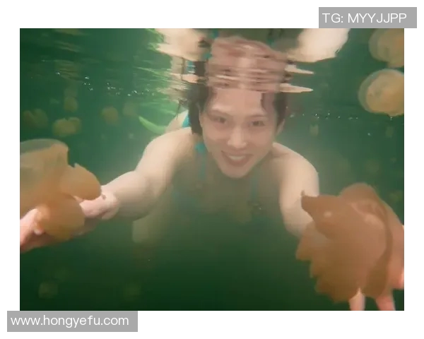 时尚与舒适兼备 潜水泳装引领水中运动新潮流