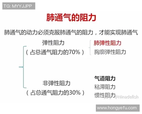 心肺功能在整体健康中的核心作用及其对身体各系统的影响分析