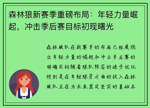 森林狼新赛季重磅布局:年轻力量崛起,冲击季后赛目标初现曙光